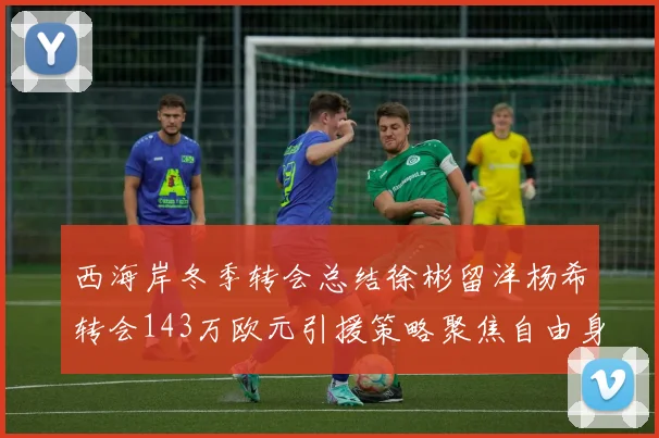 西海岸冬季转会总结徐彬留洋杨希转会143万欧元引援策略聚焦自由身球员