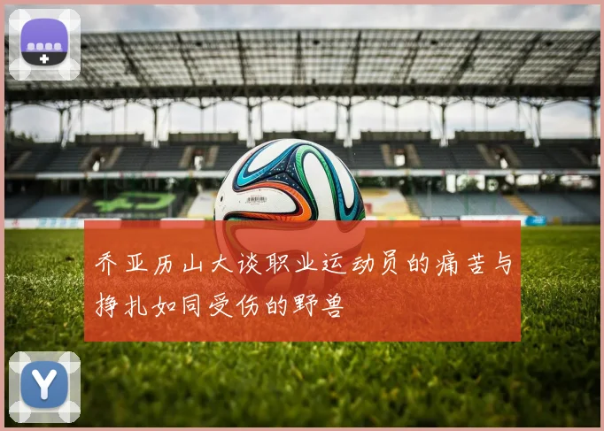乔亚历山大谈职业运动员的痛苦与挣扎如同受伤的野兽