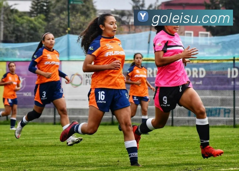 雷速体育APP 封面图